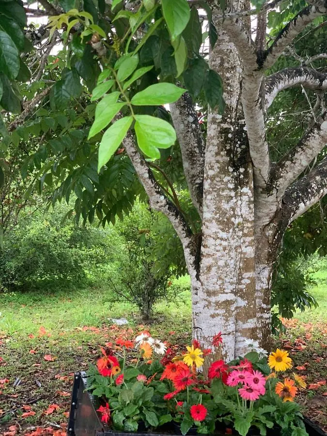 Вилла Rancho Quinta Da Bela Vista, Cha Grande, Pe Ресифи Дом отдыха